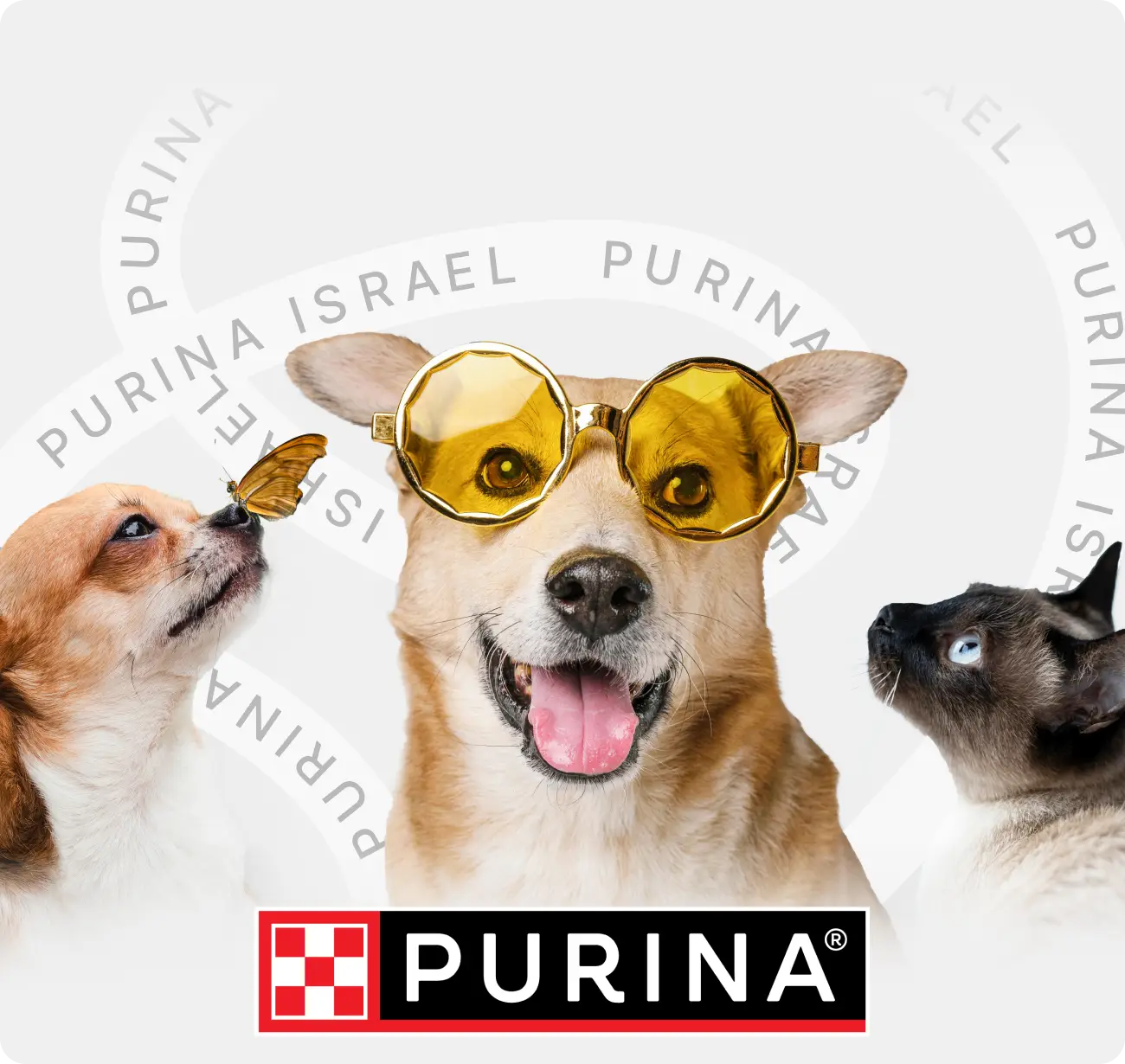 Purina Website Banner